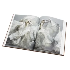 Alexander Mcqueen: Savage Beauty