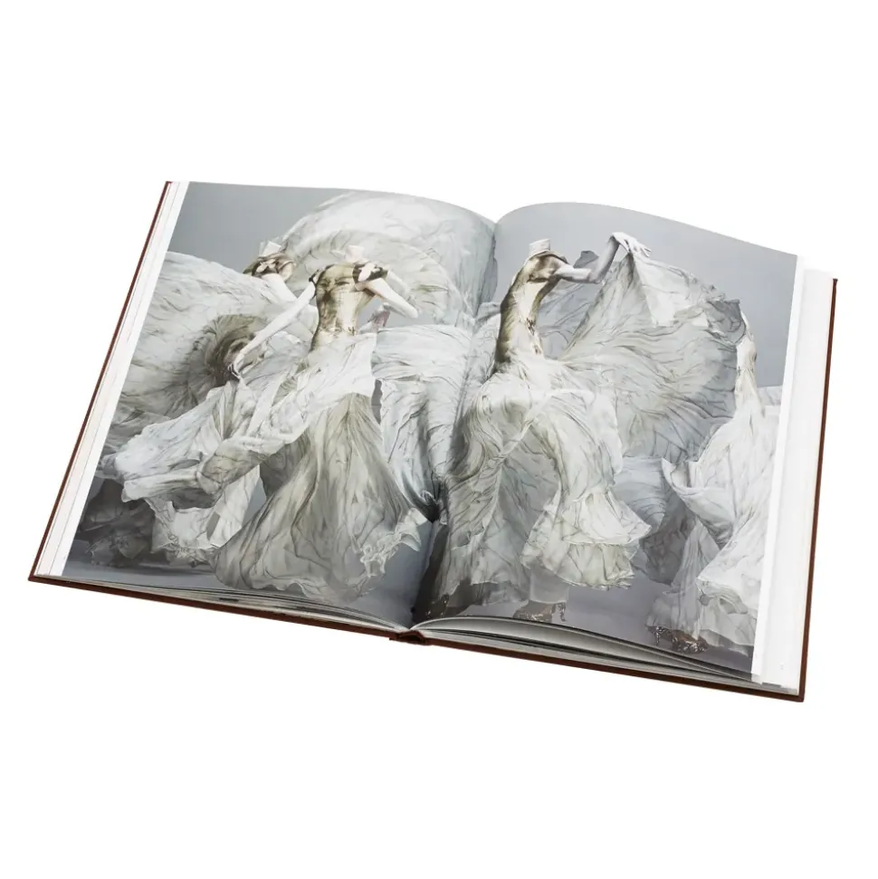 Alexander Mcqueen: Savage Beauty