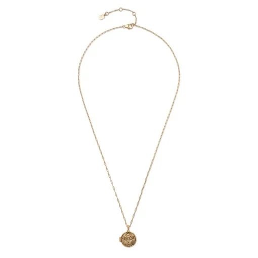 Ancient Wings Locket