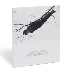 Charles Ray: Figure Ground