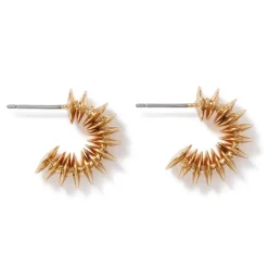 Golden Disc Necklace And Huggie Earrings Set