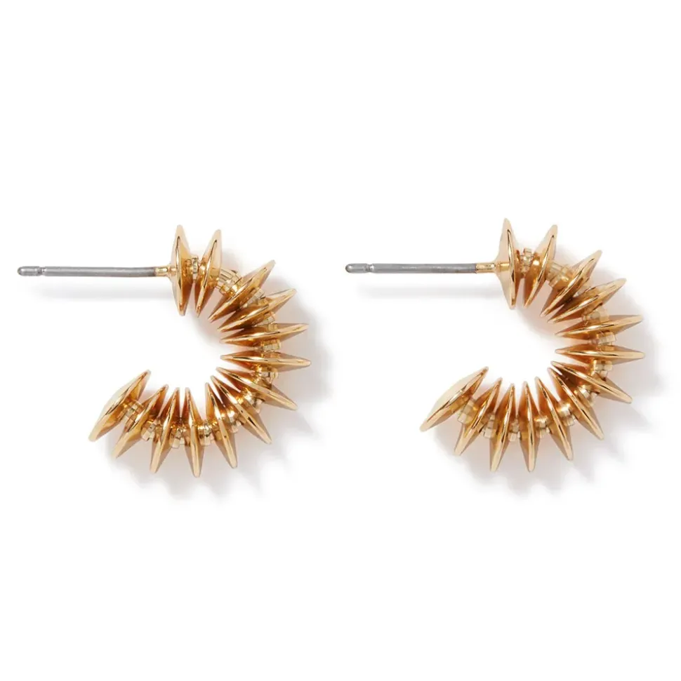 Golden Disc Necklace And Huggie Earrings Set