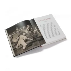 Goya'S Graphic Imagination