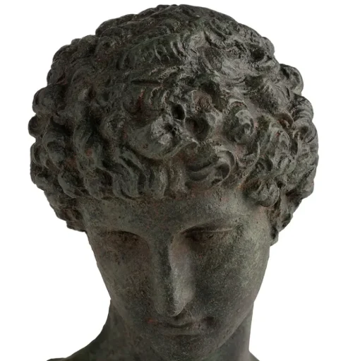 Head Of A Youth Sculpture