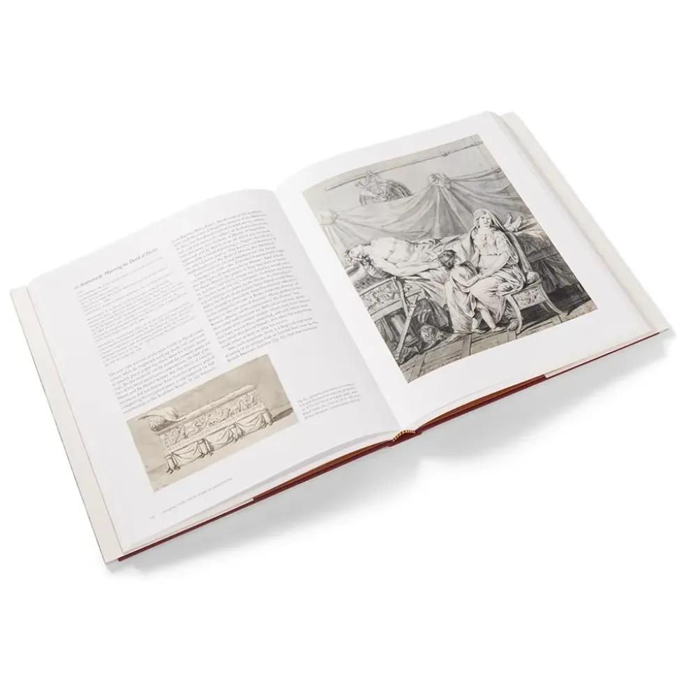 Jacques Louis David: Radical Draftsman