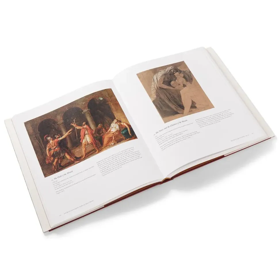 Jacques Louis David: Radical Draftsman