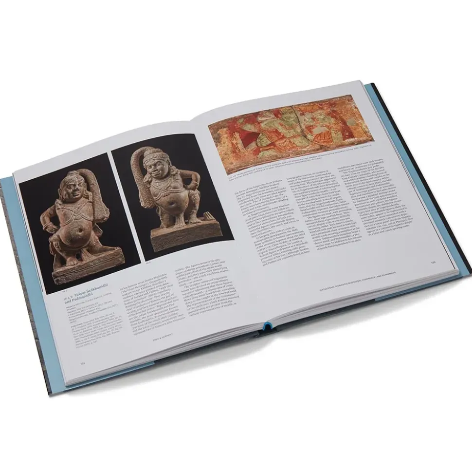 Tree & Serpent: Early Buddhist Art In India